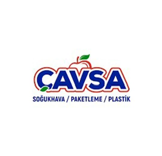 CAVSA